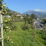 Bed and breakfast Les Fleurs 3*