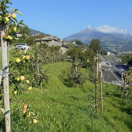 לינה וארוחת בוקר Les Fleurs 3*