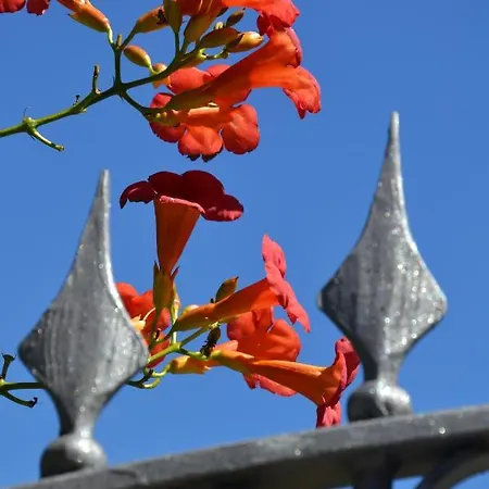 Les Fleurs Bed & Breakfast