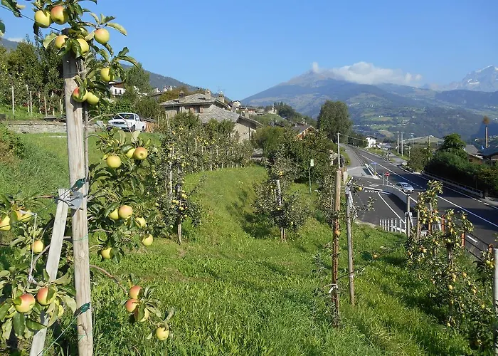 Bed & Breakfast Les Fleurs 3*